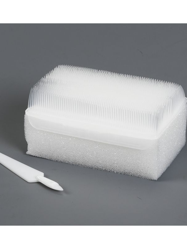 Brosse chirurgicale sèche